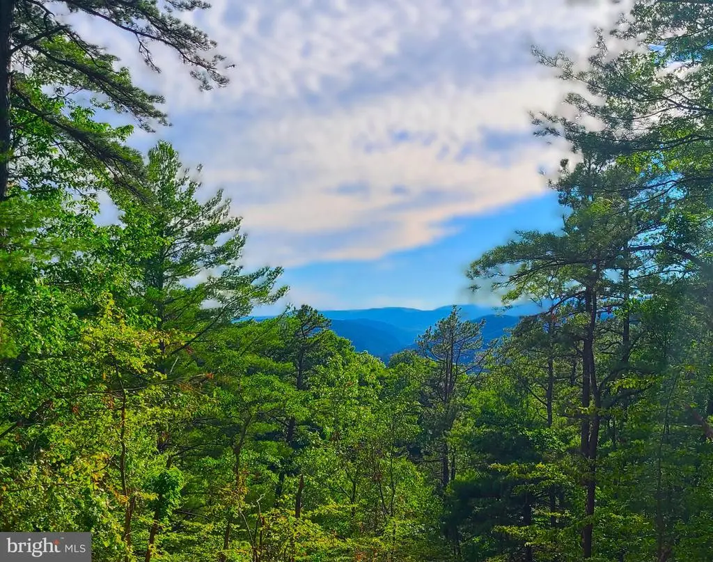 Deer Crossing Trail, Franklin