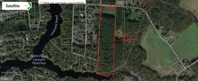 0 Williams Mill Pond Rd, Delmar