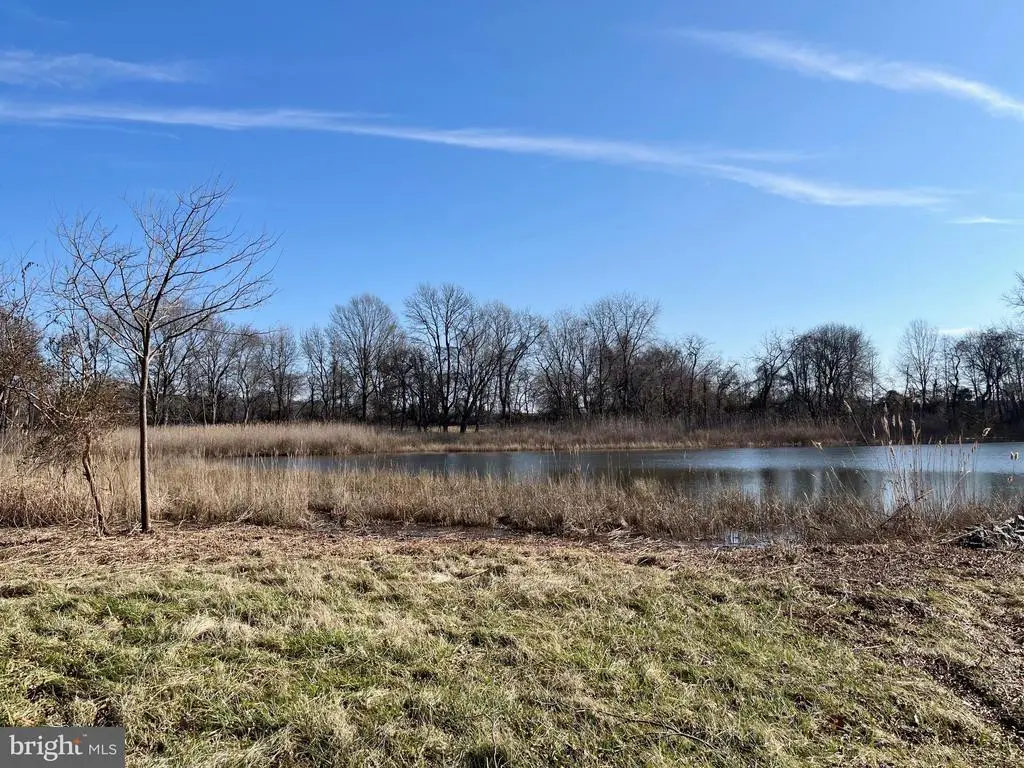 203 Riverside Dr, Chester