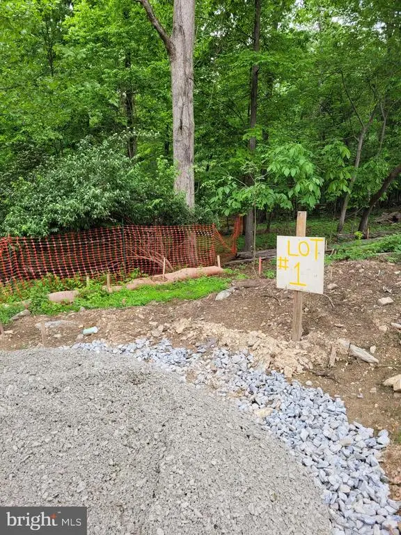 11027 Locust Dr, Damascus