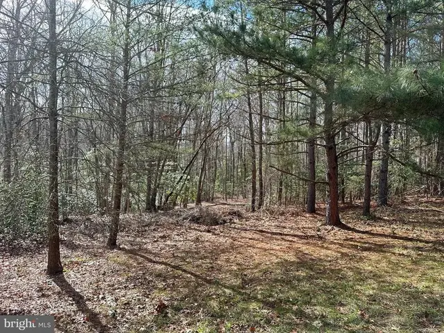 12921 Pine Ln, Lusby