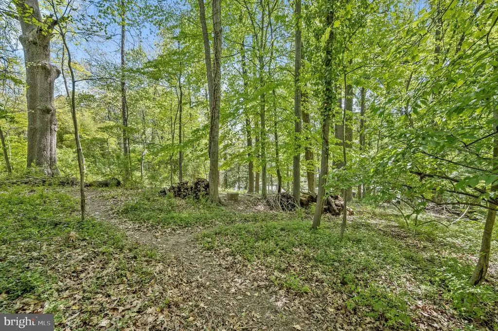 11117 Rokeby Ave, Garrett Park