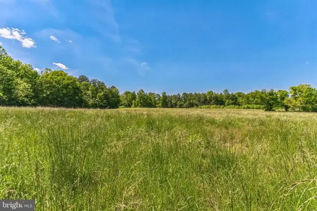 2195 Henry Hutchins Rd, Prince Frederick