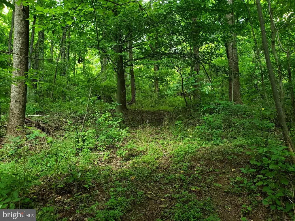 4302 Fishers Hollow Rd, Myersville