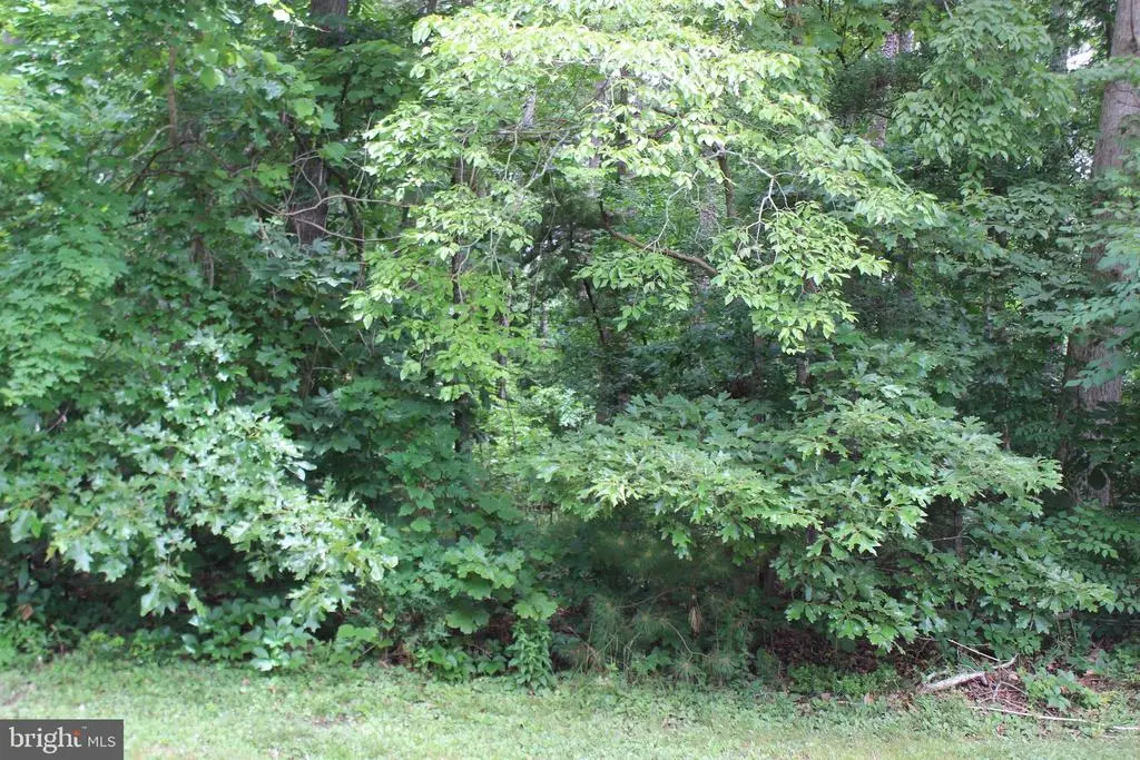 2028 Mayflower Dr, GREENBACKVILLE