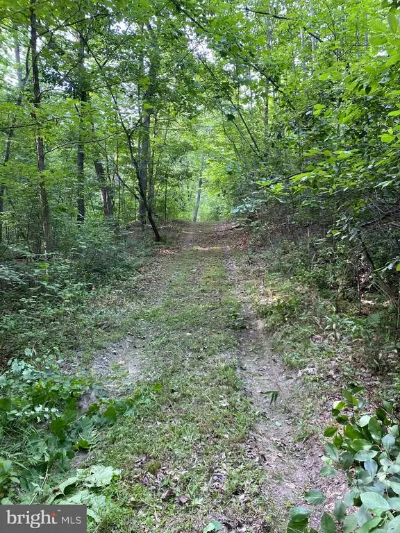 0 Foxfield Run, Reva