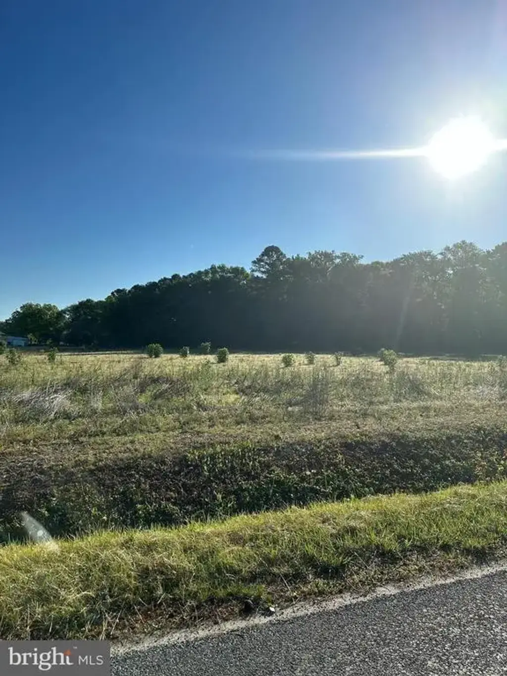 0 Lynch Rd, selbyville