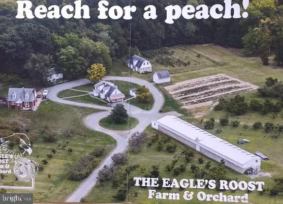 11 Peach Pl, North East