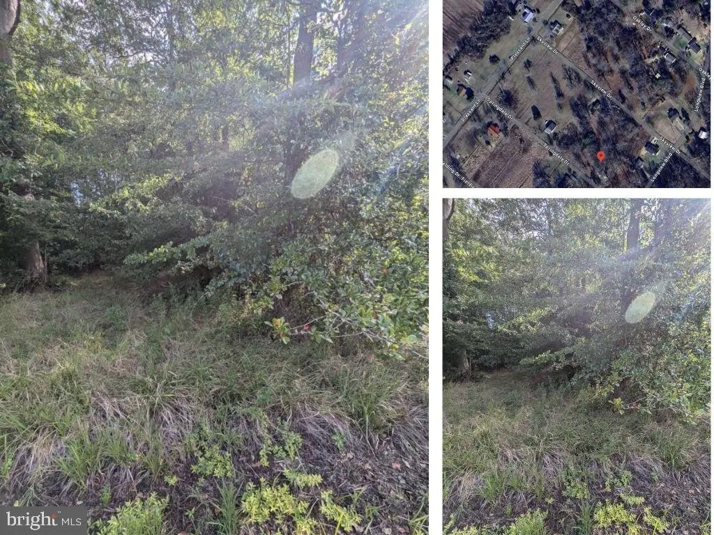 36788 Springdale Drive, Bushwood