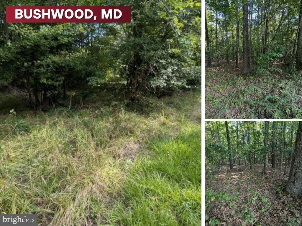 36810 Bushwood Drive, Bushwood