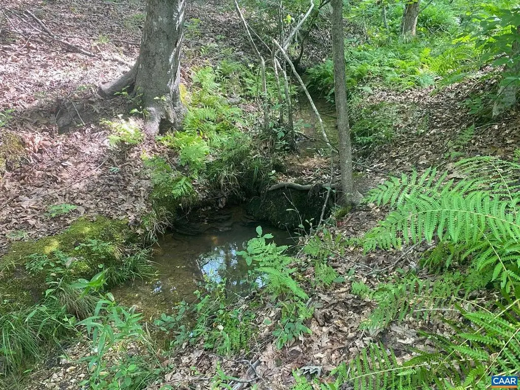 S Constitution Rte, Scottsville