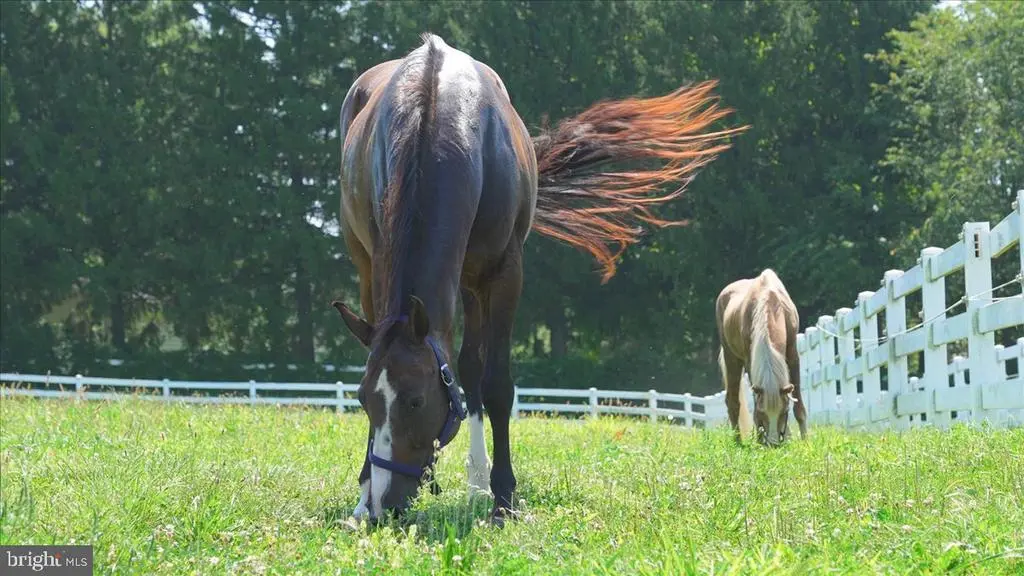 400 N Guernsey Rd, WEST GROVE