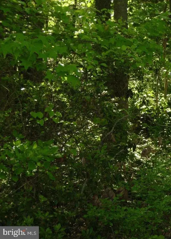 Old Elk Neck Rd, Elkton