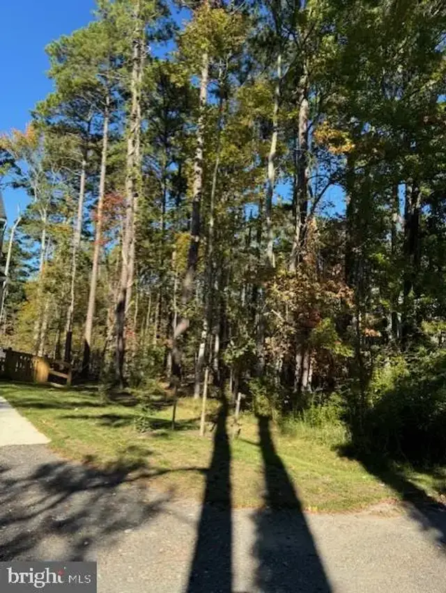 Lot 8 Ackerman Dr, Stevensville