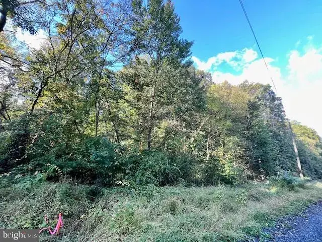 0 Short Mountain Rd, Edinburg