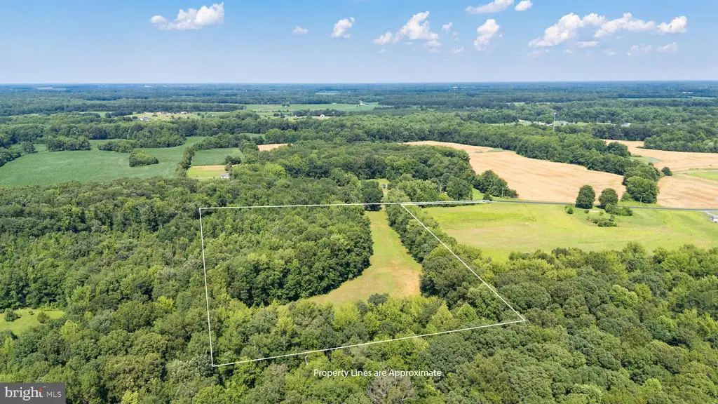 Hatchett Rd, Centreville