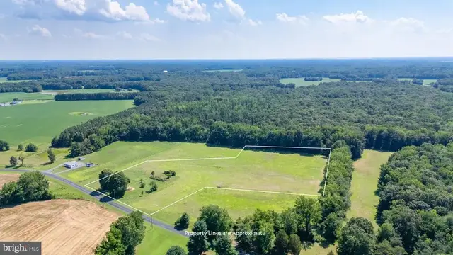 311 Hatchett Rd, Centreville