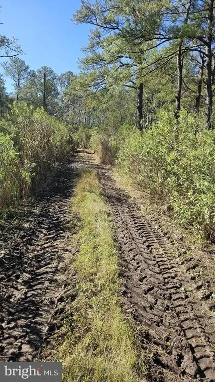 0 Asbury Ave, Crisfield