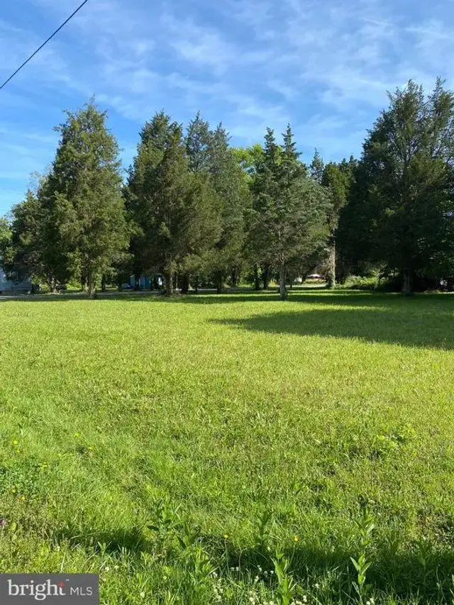 Owens Dr, Bushwood