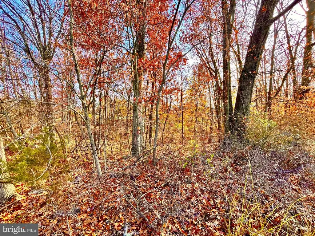 0 Brooke Rd, POTTSTOWN