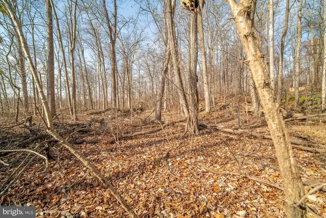 329 Mount Airy Rd, Lewisberry
