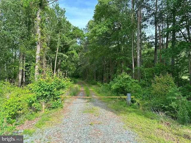Haden Martin Road (tract: Martin Pitts), Palmyra