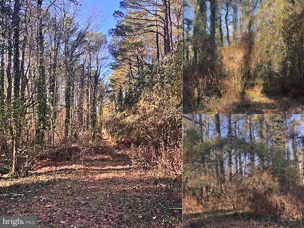 330 Lessin Dr, Lusby