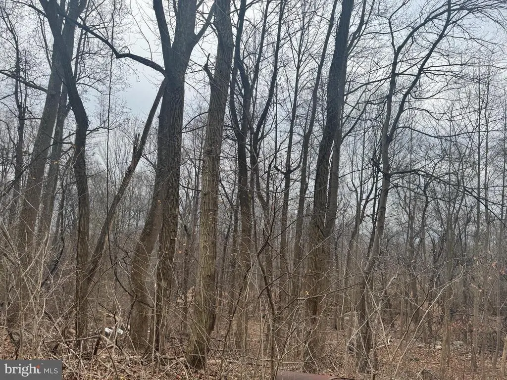 1905 Reed Rd, Knoxville