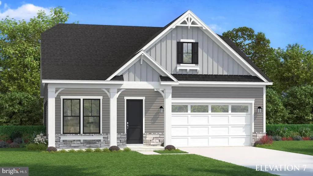 Tbb Pitch Pine Ct #palmetto, LEWES