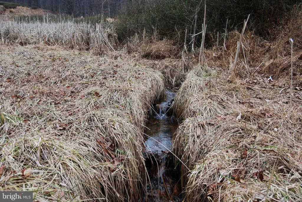 Lot #2 Terrain Dr, Hedgesville