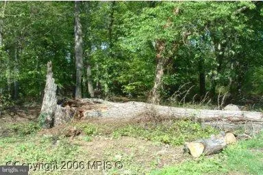 9315 Davidson St, COLLEGE PARK