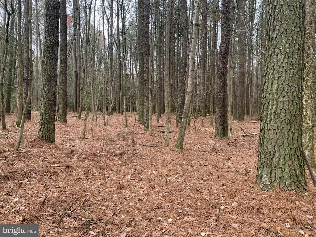 0 Upper Ferry Rd, Eden