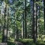 Rte 9 Lot 12 Secluded Lane, GEORGETOWN