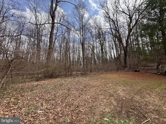 Snowden Creek, Marriottsville