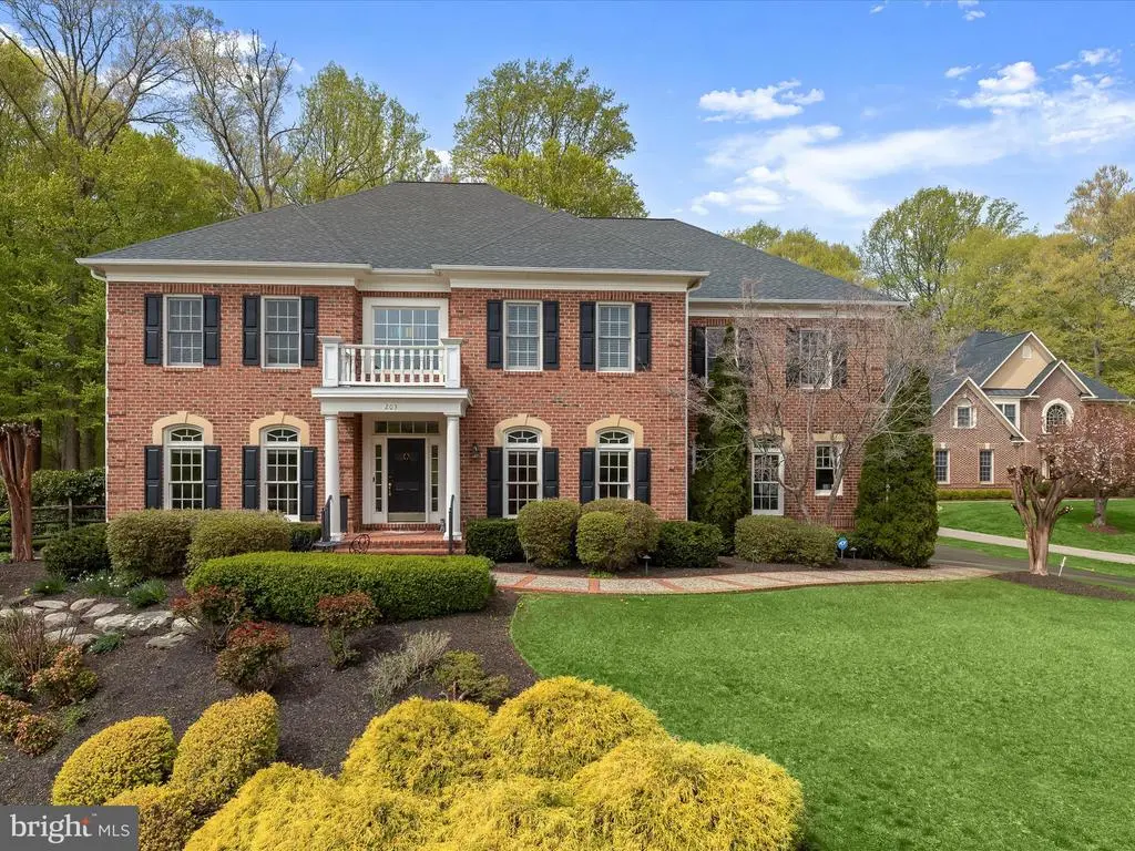 203 Black Skimmer Ct, Edgewater