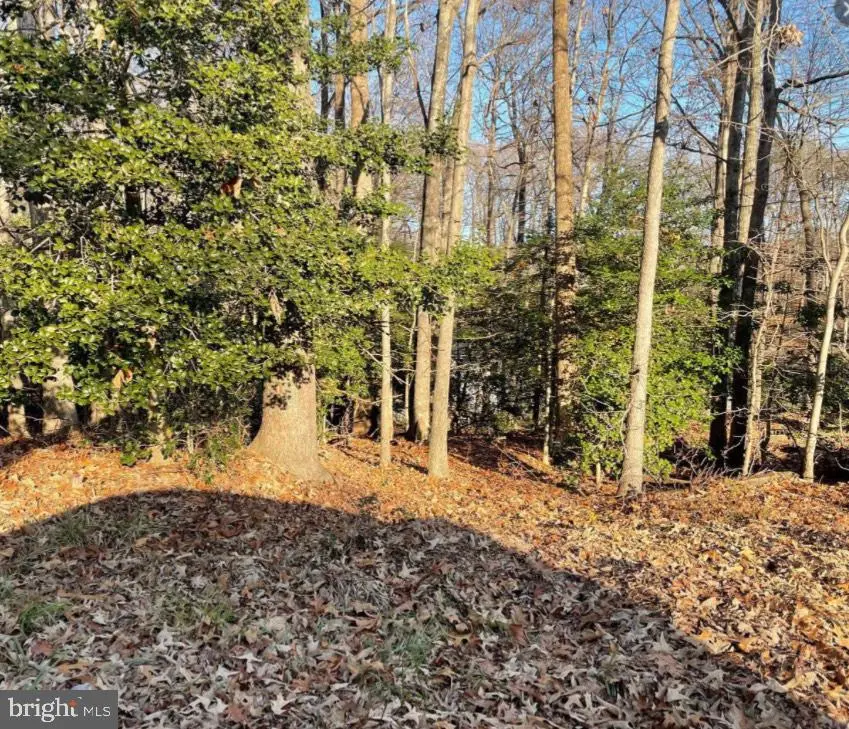 11428 Redlands Rd, Lusby