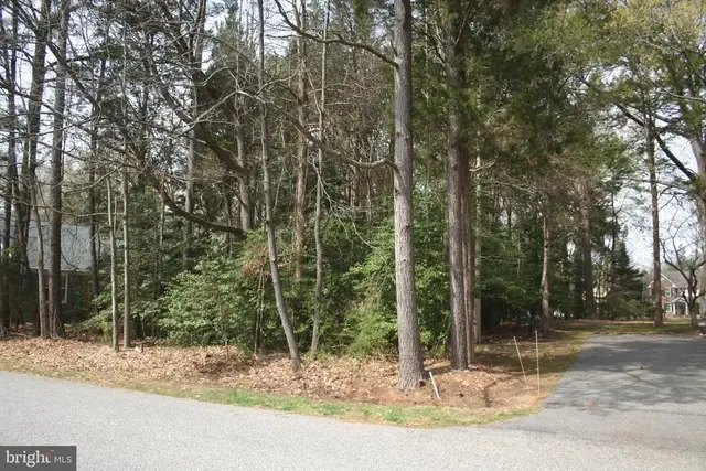 14590 Honeysuckle Way, Issue