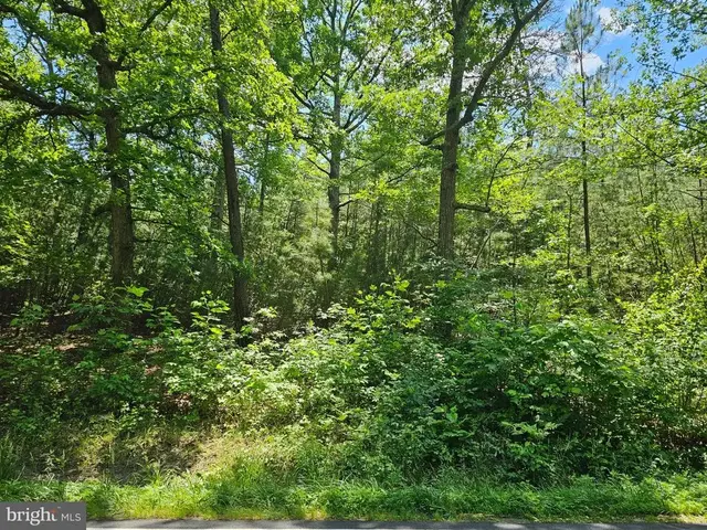 0 Mt Olive Rd, Beaverdam