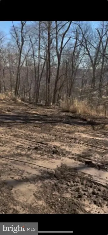 1975 White Deer Trl, MALVERN