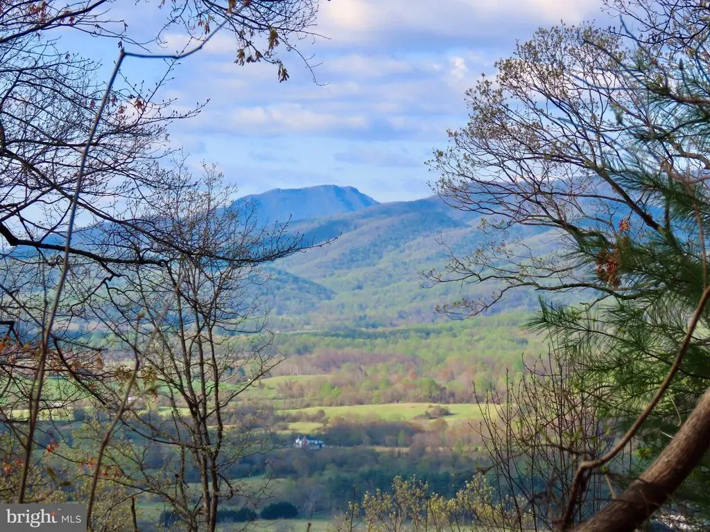 Rediviva Ln, WASHINGTON