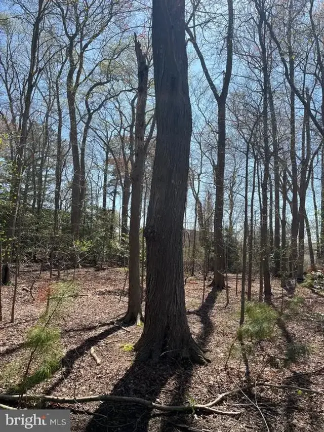 Lot 22 Pine Grove Ln, Ocean View