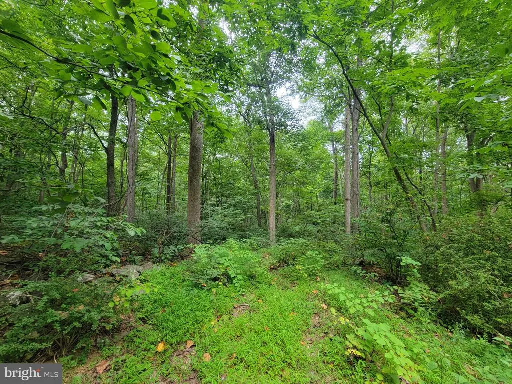 14358 Brown Rd, Sabillasville