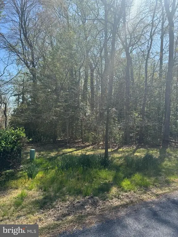 Holly Ln, Mechanicsville