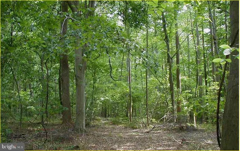 12605 Cedarville Rd, Brandywine