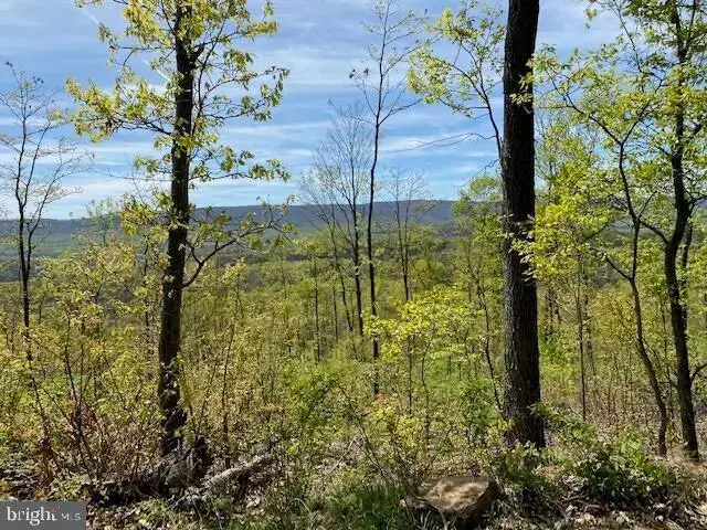 Lot 6 Polecat Hollow Road, Hopewell