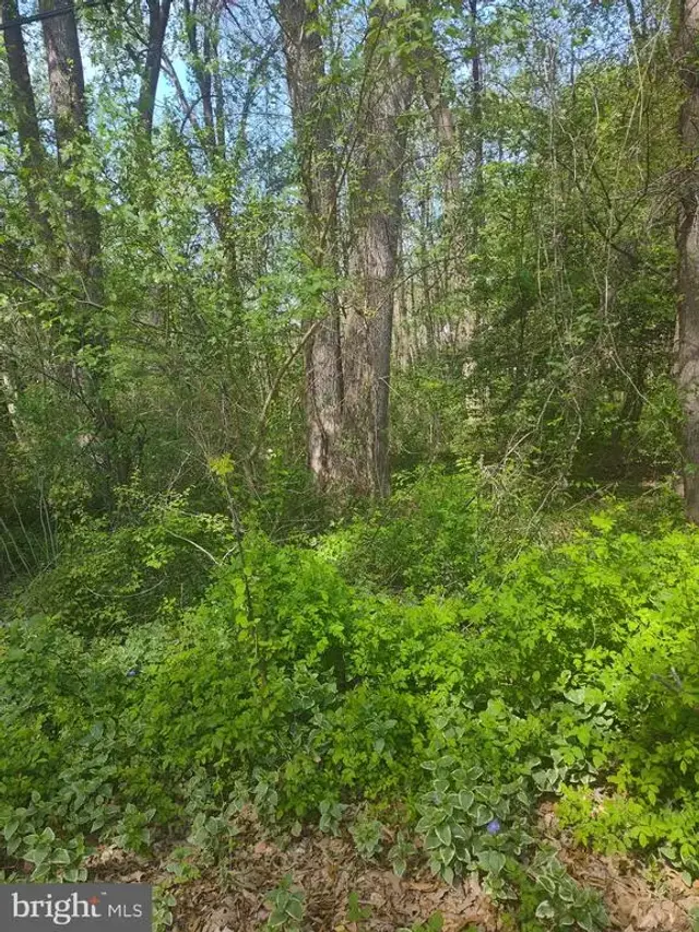 Georgetown Rd Se, Chestertown