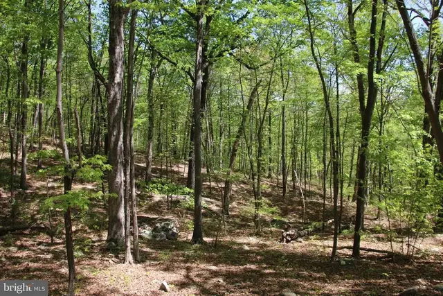 N Egypt Bend Rd, Luray