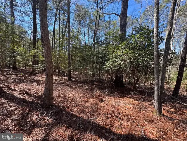 Lot 1897 Buccaneer Blvd, Greenbackville