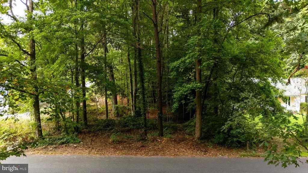 Blackwater Vlg Lot 1 Blk Indian Queen Ln, dagsboro