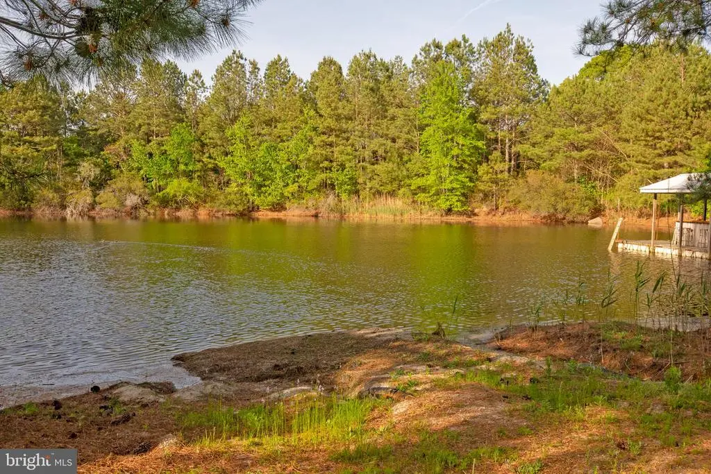 5764 Black Maple Ln, MILFORD